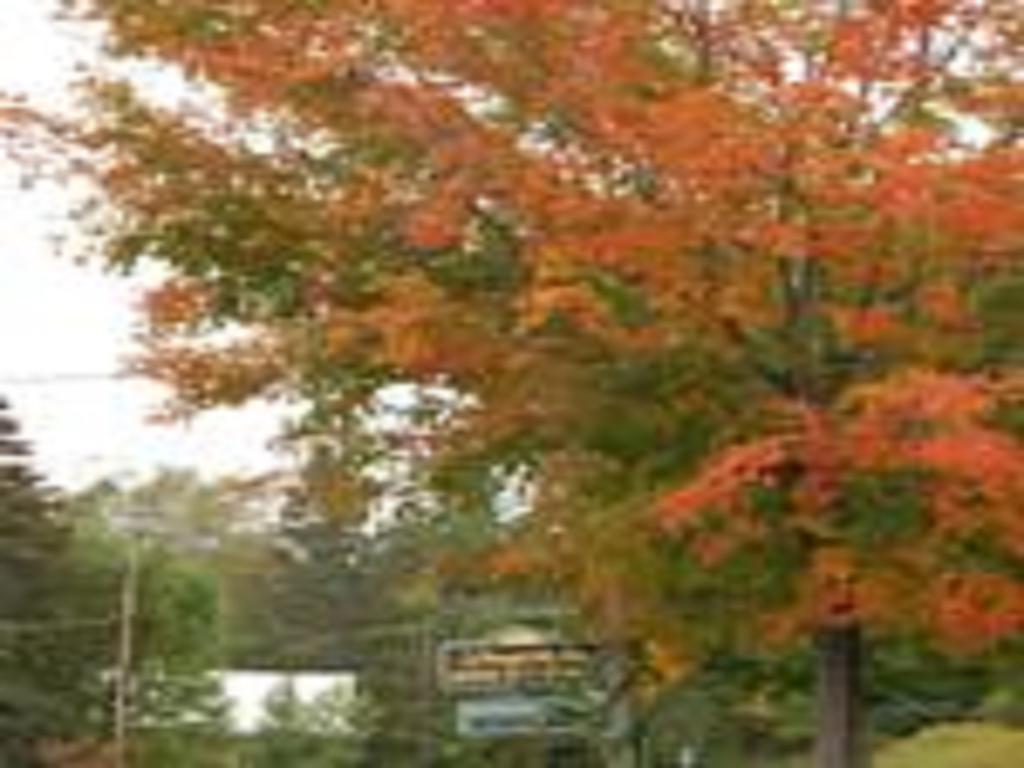 Willoughvale Inn Westmore Newport 外观 照片